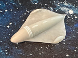 SCI2 -Classic Roswell UFO Arrowhead (Hive)